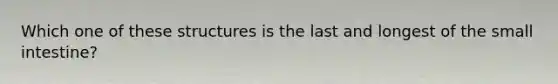 Which one of these structures is the last and longest of the small intestine?