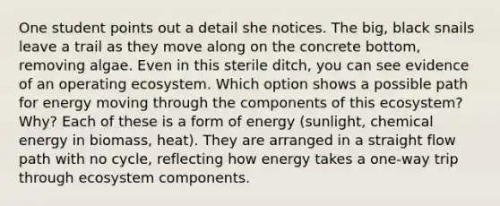 One student points out a detail she notices. The big, black snails leave a trail as they move along on the concrete bottom, removing algae. Even in this sterile ditch, you can see evidence of an operating ecosystem. Which option shows a possible path for energy moving through the components of this ecosystem? Why? Each of these is a form of energy (sunlight, chemical energy in biomass, heat). They are arranged in a straight flow path with no cycle, reflecting how energy takes a one-way trip through ecosystem components.