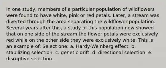 In one study, members of a particular population of wildflowers were found to have white, pink or red petals. Later, a stream was diverted through the area separating the wildflower population. Several years after this, a study of this population now showed that on one side of the stream the flower petals were exclusively red while on the other side they were exclusively white. This is an example of: Select one: a. Hardy-Weinberg effect. b. stabilizing selection. c. genetic drift. d. directional selection. e. disruptive selection.