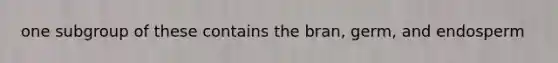 one subgroup of these contains the bran, germ, and endosperm