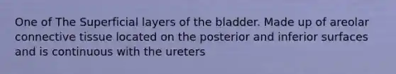 One of The Superficial layers of the bladder. Made up of areolar connective tissue located on the posterior and inferior surfaces and is continuous with the ureters