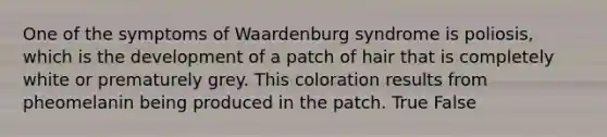 One of the symptoms of Waardenburg syndrome is poliosis, which is the development of a patch of hair that is completely white or prematurely grey. This coloration results from pheomelanin being produced in the patch. True False