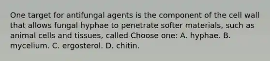 One target for antifungal agents is the component of the cell wall that allows fungal hyphae to penetrate softer materials, such as animal cells and tissues, called Choose one: A. hyphae. B. mycelium. C. ergosterol. D. chitin.