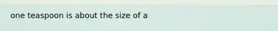 one teaspoon is about the size of a