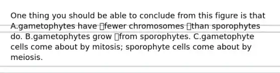 One thing you should be able to conclude from this figure is that A.gametophytes have fewer chromosomes than sporophytes do. B.gametophytes grow from sporophytes. C.gametophyte cells come about by mitosis; sporophyte cells come about by meiosis.