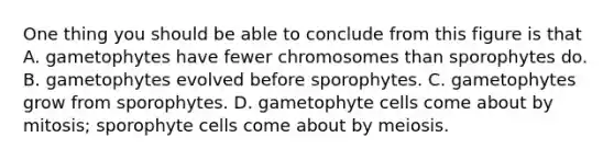 One thing you should be able to conclude from this figure is that A. gametophytes have fewer chromosomes than sporophytes do. B. gametophytes evolved before sporophytes. C. gametophytes grow from sporophytes. D. gametophyte cells come about by mitosis; sporophyte cells come about by meiosis.