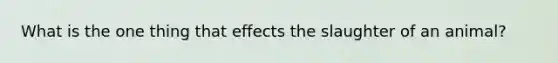 What is the one thing that effects the slaughter of an animal?