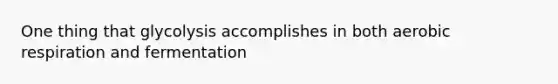 One thing that glycolysis accomplishes in both aerobic respiration and fermentation