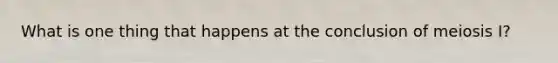 What is one thing that happens at the conclusion of meiosis I?