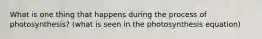 What is one thing that happens during the process of photosynthesis? (what is seen in the photosynthesis equation)