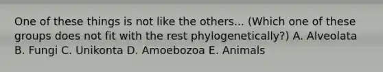 One of these things is not like the others... (Which one of these groups does not fit with the rest phylogenetically?) A. Alveolata B. Fungi C. Unikonta D. Amoebozoa E. Animals