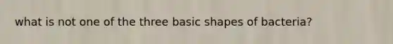 what is not one of the three basic shapes of bacteria?