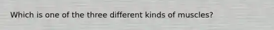 Which is one of the three different kinds of muscles?