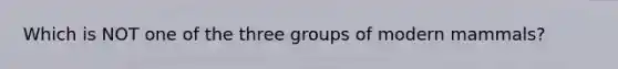 Which is NOT one of the three groups of modern mammals?