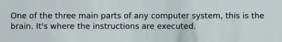 One of the three main parts of any computer system, this is the brain. It's where the instructions are executed.