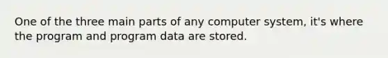 One of the three main parts of any computer system, it's where the program and program data are stored.