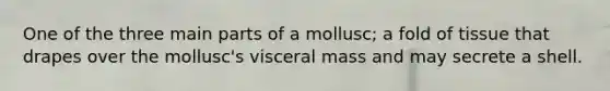 One of the three main parts of a mollusc; a fold of tissue that drapes over the mollusc's visceral mass and may secrete a shell.