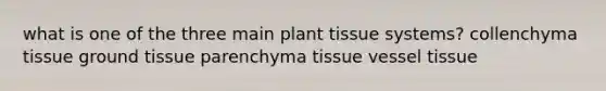 what is one of the three main plant tissue systems? collenchyma tissue ground tissue parenchyma tissue vessel tissue