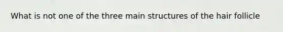 What is not one of the three main structures of the hair follicle