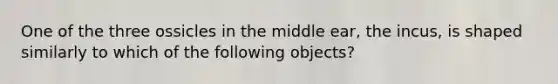 One of the three ossicles in the middle ear, the incus, is shaped similarly to which of the following objects?