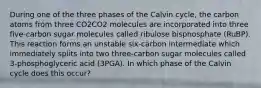 During one of the three phases of the Calvin cycle, the carbon atoms from three CO2CO2 molecules are incorporated into three five‑carbon sugar molecules called ribulose bisphosphate (RuBP). This reaction forms an unstable six‑carbon intermediate which immediately splits into two three‑carbon sugar molecules called 3‑phosphoglyceric acid (3PGA). In which phase of the Calvin cycle does this occur?