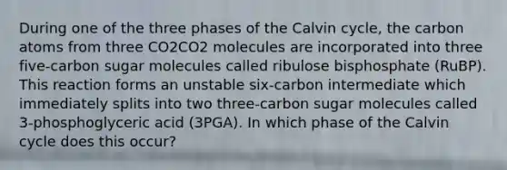 During one of the three phases of the Calvin cycle, the carbon atoms from three CO2CO2 molecules are incorporated into three five‑carbon sugar molecules called ribulose bisphosphate (RuBP). This reaction forms an unstable six‑carbon intermediate which immediately splits into two three‑carbon sugar molecules called 3‑phosphoglyceric acid (3PGA). In which phase of the Calvin cycle does this occur?