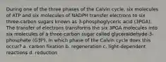 During one of the three phases of the Calvin cycle, six molecules of ATP and six molecules of NADPH transfer electrons to six three-carbon sugars known as 3-phosphoglyceric acid (3PGA). The transfer of electrons transforms the six 3PGA molecules into six molecules of a three-carbon sugar called glyceraldehyde-3-phosphate (G3P). In which phase of the Calvin cycle does this occur? a. carbon fixation b. regeneration c. light-dependent reactions d. reduction