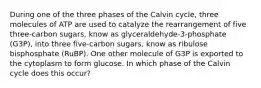 During one of the three phases of the Calvin cycle, three molecules of ATP are used to catalyze the rearrangement of five three-carbon sugars, know as glyceraldehyde-3-phosphate (G3P), into three five-carbon sugars, know as ribulose bisphosphate (RuBP). One other molecule of G3P is exported to the cytoplasm to form glucose. In which phase of the Calvin cycle does this occur?