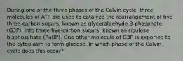 During one of the three phases of the Calvin cycle, three molecules of ATP are used to catalyze the rearrangement of five three-carbon sugars, known as glyceraldehyde-3-phosphate (G3P), into three five-carbon sugars, known as ribulose bisphosphate (RuBP). One other molecule of G3P is exported to the cytoplasm to form glucose. In which phase of the Calvin cycle does this occur?