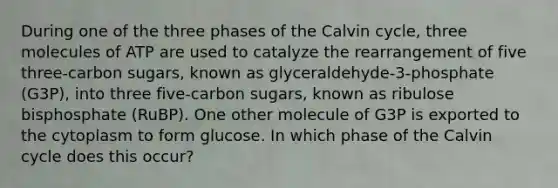 During one of the three phases of the Calvin cycle, three molecules of ATP are used to catalyze the rearrangement of five three-carbon sugars, known as glyceraldehyde-3-phosphate (G3P), into three five-carbon sugars, known as ribulose bisphosphate (RuBP). One other molecule of G3P is exported to the cytoplasm to form glucose. In which phase of the Calvin cycle does this occur?