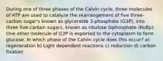 During one of three phases of the Calvin cycle, three molecules of ATP are used to catalyze the rearrangement of five three- carbon sugar's known as glyceralde 3-phosphate (G3P), into three five-carbon sugars, known as ribulose biphosphate (RuBp). One other molecule of G3P is exported to the cytoplasm to form glucose. In which phase of the Calvin cycle does this occur? a) regeneration b) Light dependent reactions c) reduction d) carbon fixation