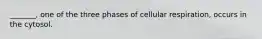 _______, one of the three phases of cellular respiration, occurs in the cytosol.