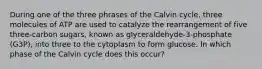 During one of the three phrases of the Calvin cycle, three molecules of ATP are used to catalyze the rearrangement of five three-carbon sugars, known as glyceraldehyde-3-phosphate (G3P), into three to the cytoplasm to form glucose. In which phase of the Calvin cycle does this occur?