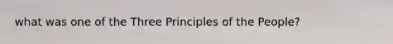 what was one of the Three Principles of the People?