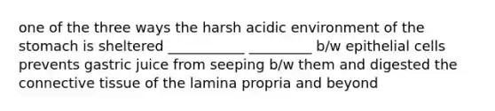 one of the three ways the harsh acidic environment of the stomach is sheltered ___________ _________ b/w epithelial cells prevents gastric juice from seeping b/w them and digested the connective tissue of the lamina propria and beyond