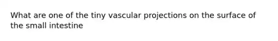 What are one of the tiny vascular projections on the surface of the small intestine