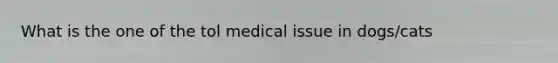 What is the one of the tol medical issue in dogs/cats