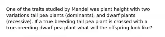 One of the traits studied by Mendel was plant height with two variations tall pea plants (dominants), and dwarf plants (recessive). If a true-breeding tall pea plant is crossed with a true-breeding dwarf pea plant what will the offspring look like?