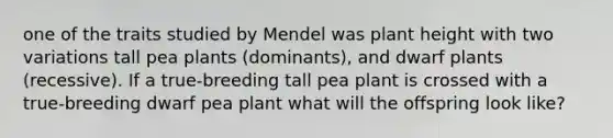 one of the traits studied by Mendel was plant height with two variations tall pea plants (dominants), and dwarf plants (recessive). If a true-breeding tall pea plant is crossed with a true-breeding dwarf pea plant what will the offspring look like?