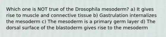 Which one is NOT true of the Drosophila mesoderm? a) It gives rise to muscle and <a href='https://www.questionai.com/knowledge/kYDr0DHyc8-connective-tissue' class='anchor-knowledge'>connective tissue</a> b) Gastrulation internalizes the mesoderm c) The mesoderm is a primary germ layer d) The dorsal surface of the blastoderm gives rise to the mesoderm