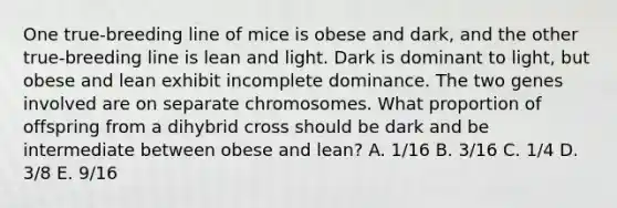 One true-breeding line of mice is obese and dark, and the other true-breeding line is lean and light. Dark is dominant to light, but obese and lean exhibit incomplete dominance. The two genes involved are on separate chromosomes. What proportion of offspring from a dihybrid cross should be dark and be intermediate between obese and lean? A. 1/16 B. 3/16 C. 1/4 D. 3/8 E. 9/16