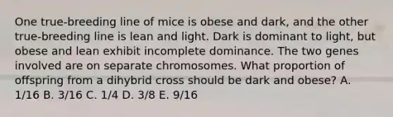 One true-breeding line of mice is obese and dark, and the other true-breeding line is lean and light. Dark is dominant to light, but obese and lean exhibit incomplete dominance. The two genes involved are on separate chromosomes. What proportion of offspring from a dihybrid cross should be dark and obese? A. 1/16 B. 3/16 C. 1/4 D. 3/8 E. 9/16