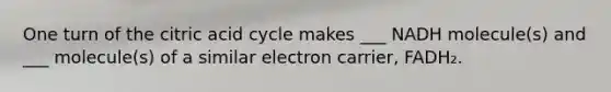 One turn of the citric acid cycle makes ___ NADH molecule(s) and ___ molecule(s) of a similar electron carrier, FADH₂.