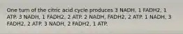 One turn of the citric acid cycle produces 3 NADH, 1 FADH2, 1 ATP. 3 NADH, 1 FADH2, 2 ATP. 2 NADH, FADH2, 2 ATP. 1 NADH, 3 FADH2, 2 ATP. 3 NADH, 2 FADH2, 1 ATP.