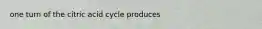 one turn of the citric acid cycle produces