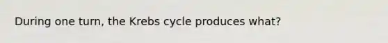 During one turn, the Krebs cycle produces what?