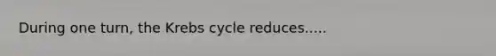 During one turn, the Krebs cycle reduces.....