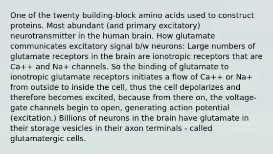 One of the twenty building-block amino acids used to construct proteins. Most abundant (and primary excitatory) neurotransmitter in the human brain. How glutamate communicates excitatory signal b/w neurons: Large numbers of glutamate receptors in the brain are ionotropic receptors that are Ca++ and Na+ channels. So the binding of glutamate to ionotropic glutamate receptors initiates a flow of Ca++ or Na+ from outside to inside the cell, thus the cell depolarizes and therefore becomes excited, because from there on, the voltage-gate channels begin to open, generating action potential (excitation.) Billions of neurons in the brain have glutamate in their storage vesicles in their axon terminals - called glutamatergic cells.