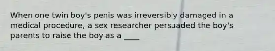 When one twin boy's penis was irreversibly damaged in a medical procedure, a sex researcher persuaded the boy's parents to raise the boy as a ____