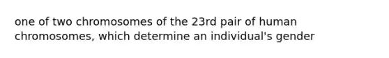 one of two chromosomes of the 23rd pair of human chromosomes, which determine an individual's gender